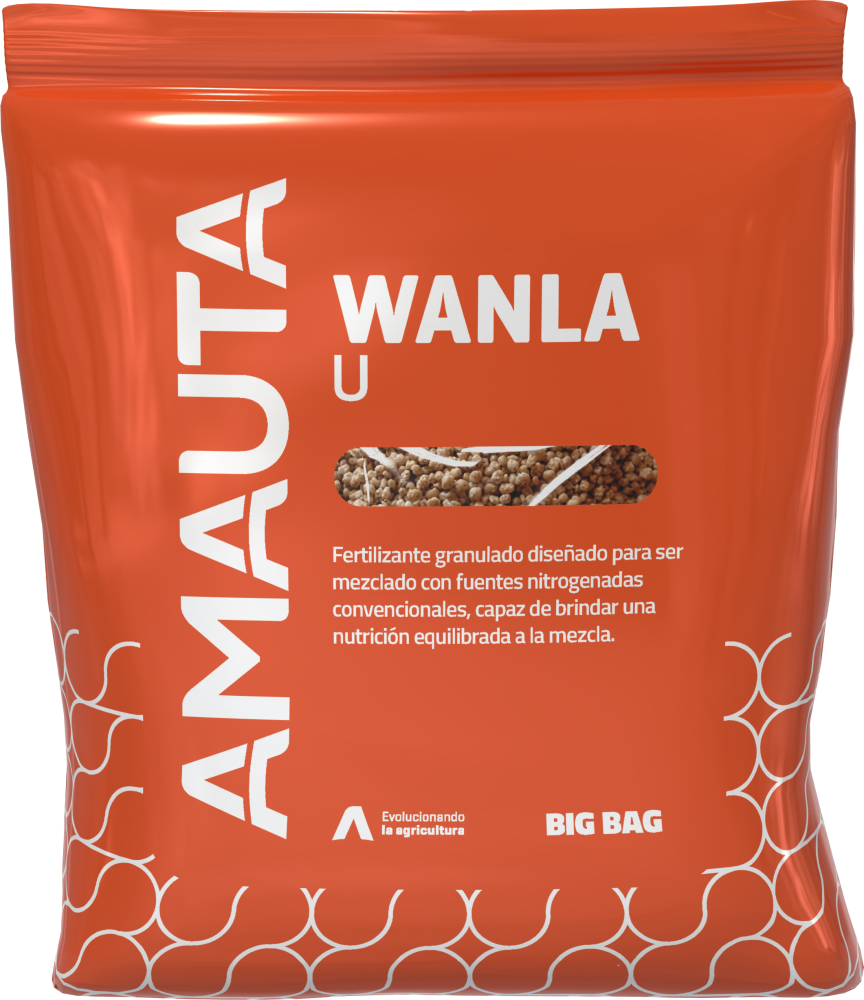 WANLA