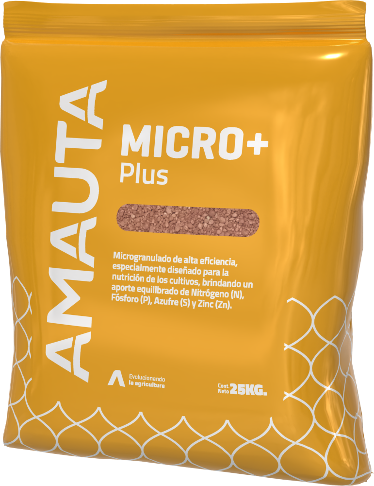 MICRO+ Plus