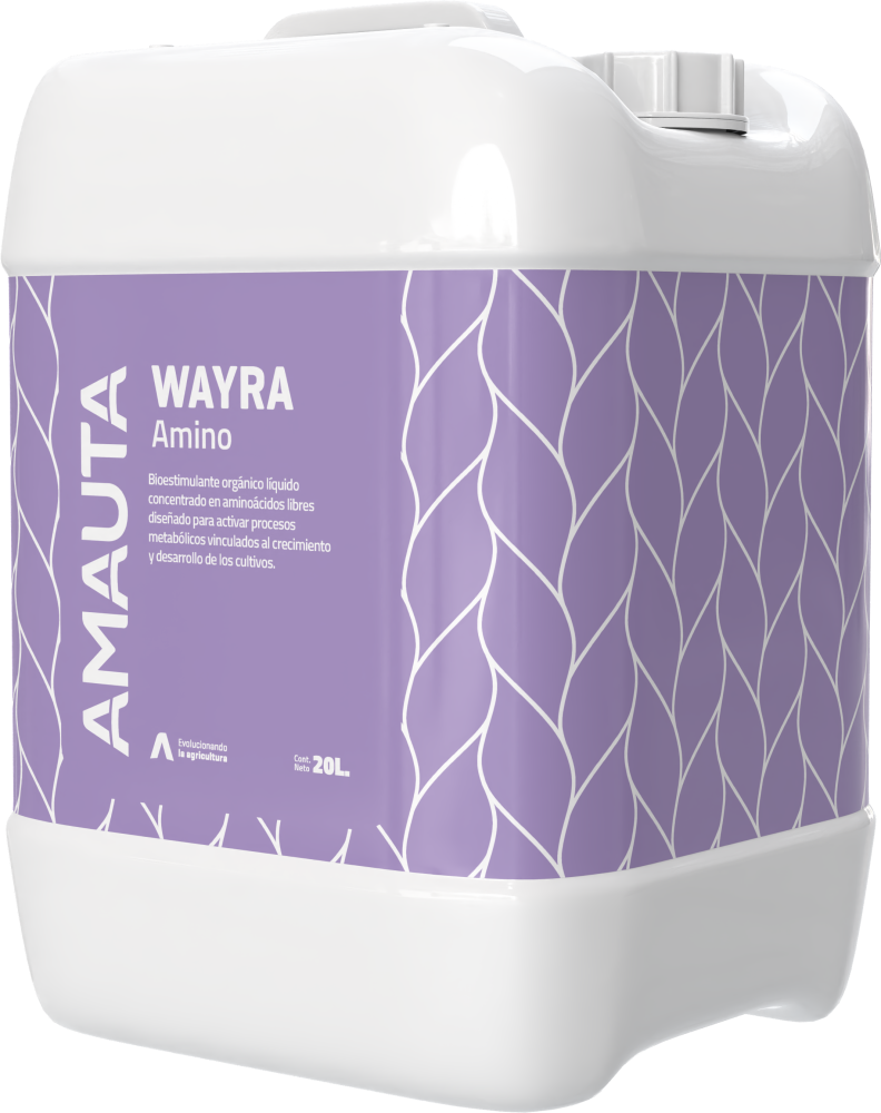 WAYRA Amino