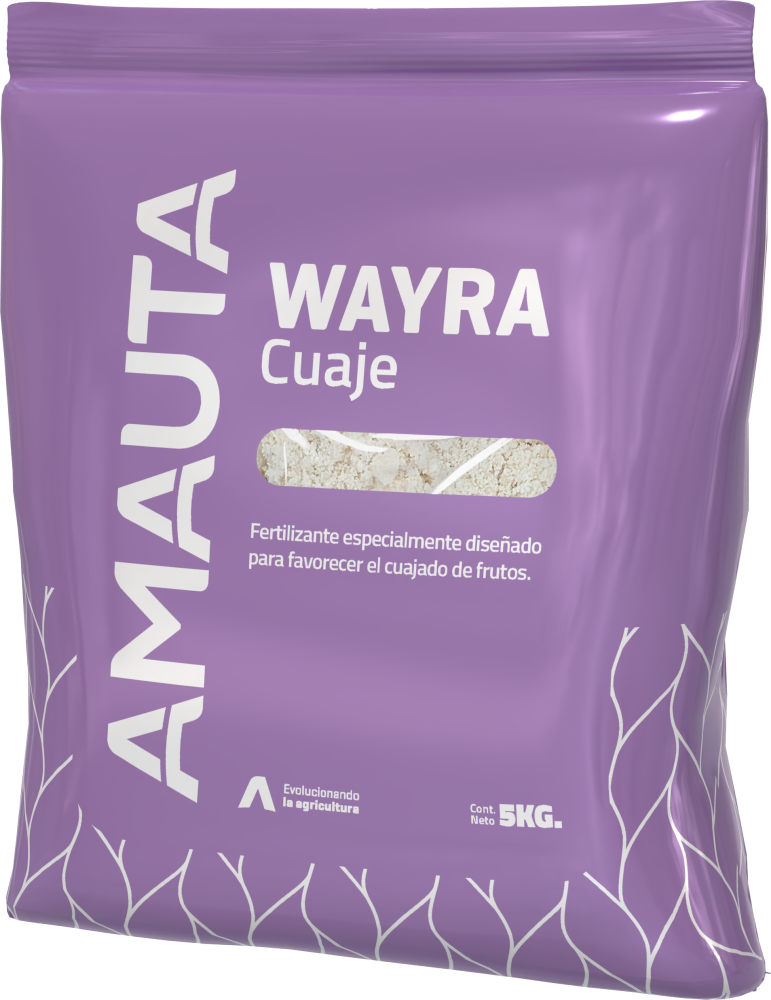 WAYRA Cuaje