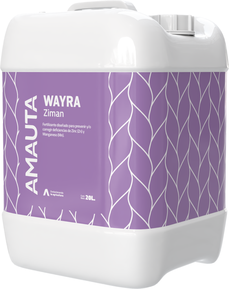 WAYRA Ziman